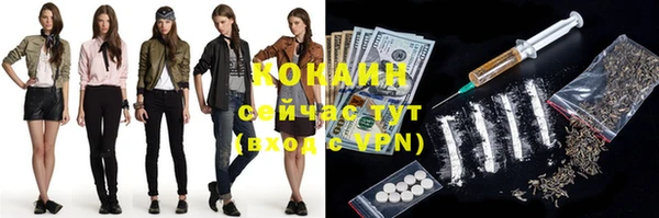 прущие грибы Вяземский