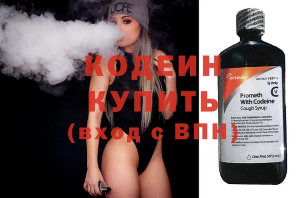 прущие грибы Вяземский