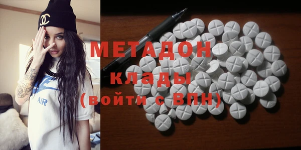 прущие грибы Вяземский