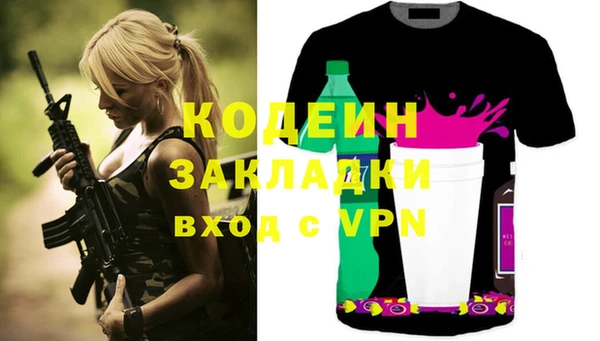 прущие грибы Вяземский