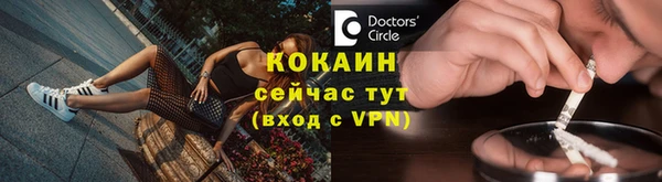 прущие грибы Вяземский