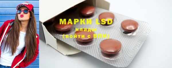 прущие грибы Вяземский