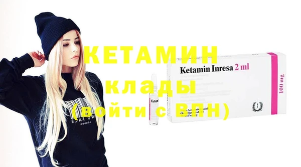 прущие грибы Вяземский