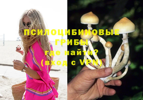 прущие грибы Вяземский
