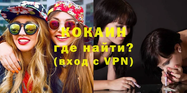 прущие грибы Вяземский