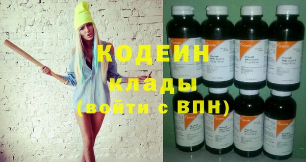 прущие грибы Вяземский
